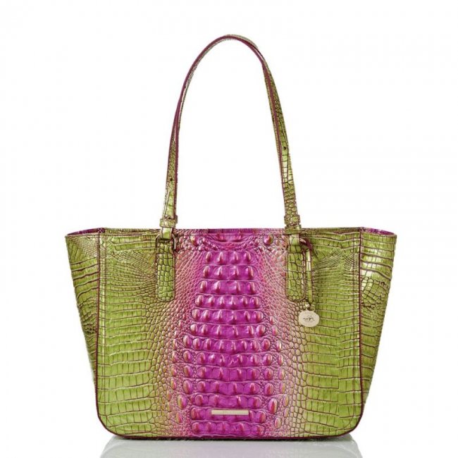 Brahmin | Women's Ashlee Limeade Ombre Melbourne | Quick Ship!
