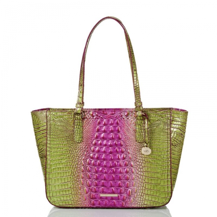 Brahmin | Women's Ashlee Limeade Ombre Melbourne | Quick Ship!