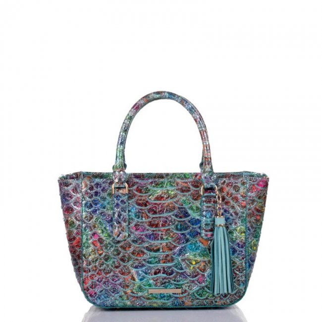 Brahmin | Women's Small Ashlee Frisky Montego | Quick Ship!