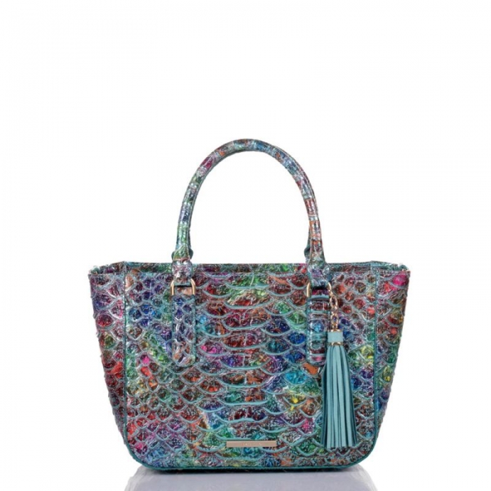 Brahmin | Women's Small Ashlee Frisky Montego | Quick Ship!