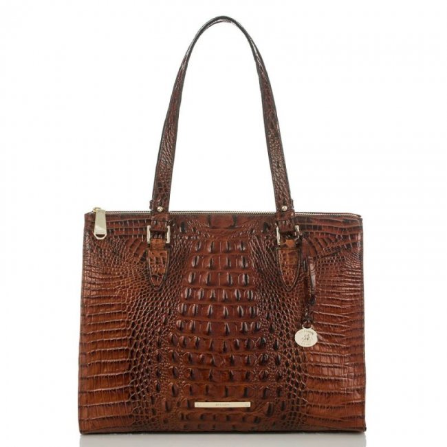 Brahmin | Women's Anywhere Leather Tote Handbag | Pecan Melbourne | Quick Ship!