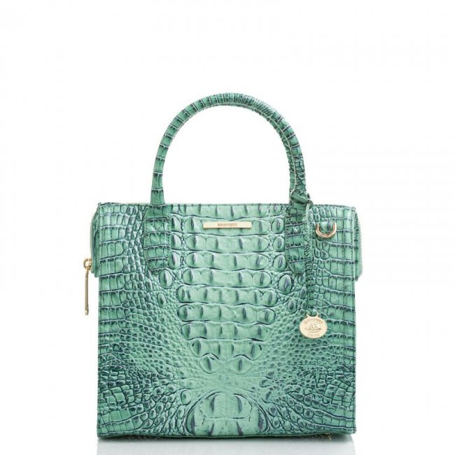 Brahmin | Women's Small Caroline Biscay Melbourne | Quick Ship!