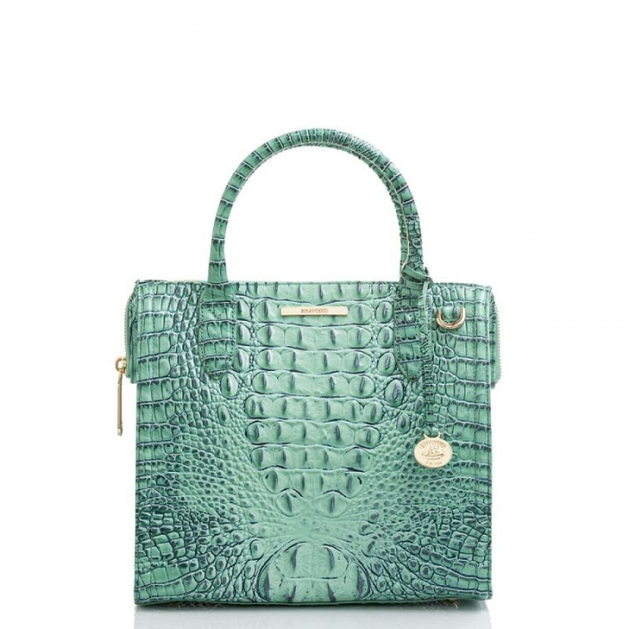 Brahmin | Women's Small Caroline Biscay Melbourne | Quick Ship!