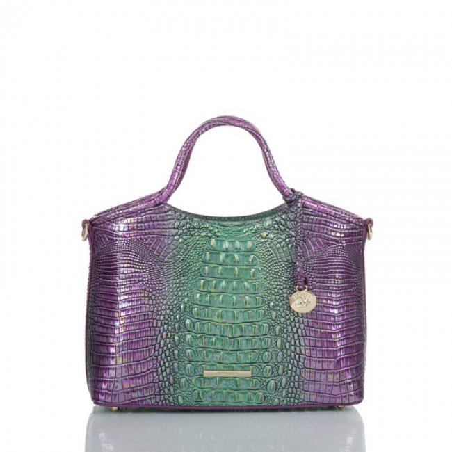 Brahmin | Women's Small Elaine Hyacinth Ombre Mini Melbourne | Quick Ship!