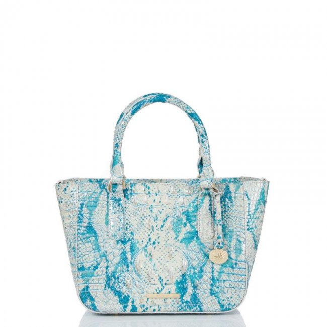 Brahmin | Women's Small Ashlee Mesmerized Melbourne | Quick Ship!