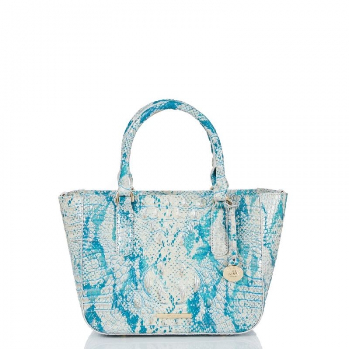 Brahmin | Women's Small Ashlee Mesmerized Melbourne | Quick Ship!