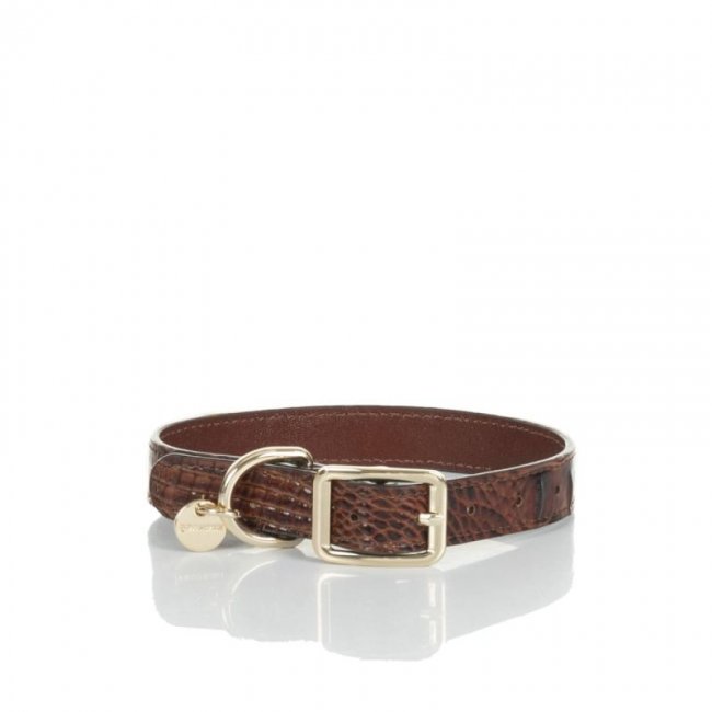 Brahmin | Women's Medium Brown Leather Dog Collar | Pecan Melbourne | Quick Ship!
