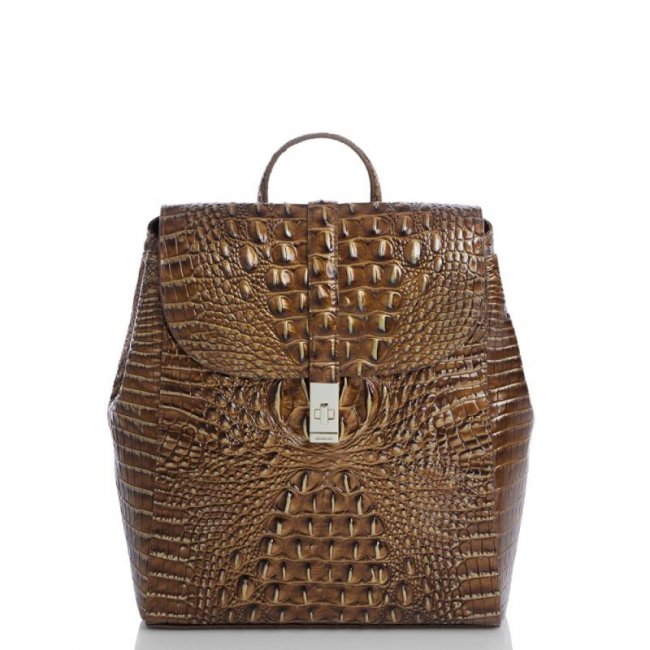 Brahmin | Women's Sadie Teak Ombre Melbourne | Quick Ship!