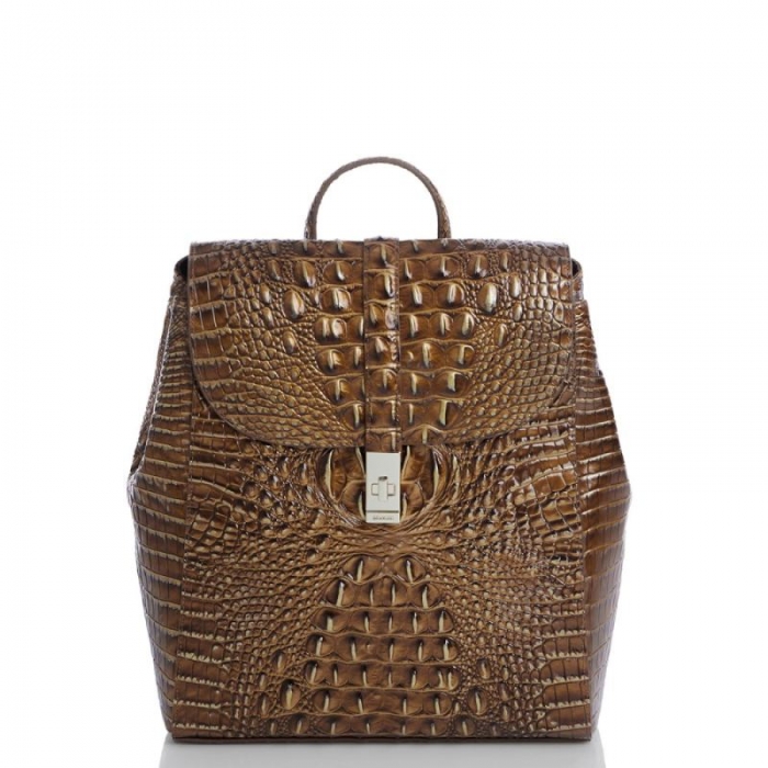 Brahmin | Women's Sadie Teak Ombre Melbourne | Quick Ship!