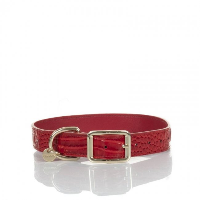 Brahmin | Women's Large Pet Collar Carnation Melbourne | Quick Ship!