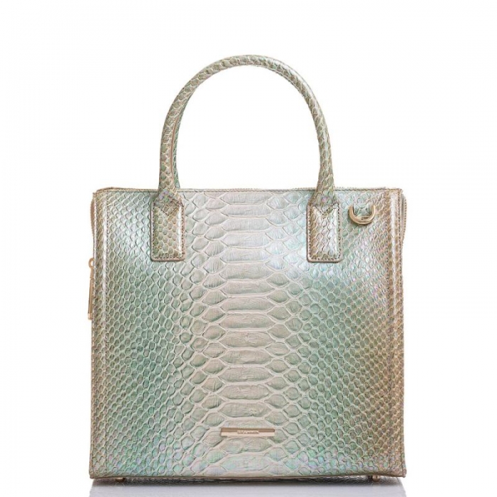 Brahmin | Women's Caroline Green Velocity | Quick Ship!