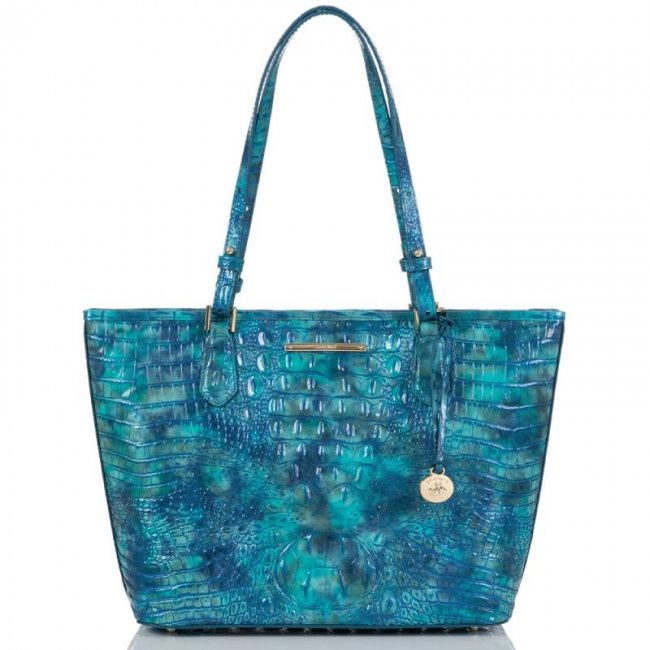 Brahmin | Women's Medium Asher Tonic Melbourne | Quick Ship!