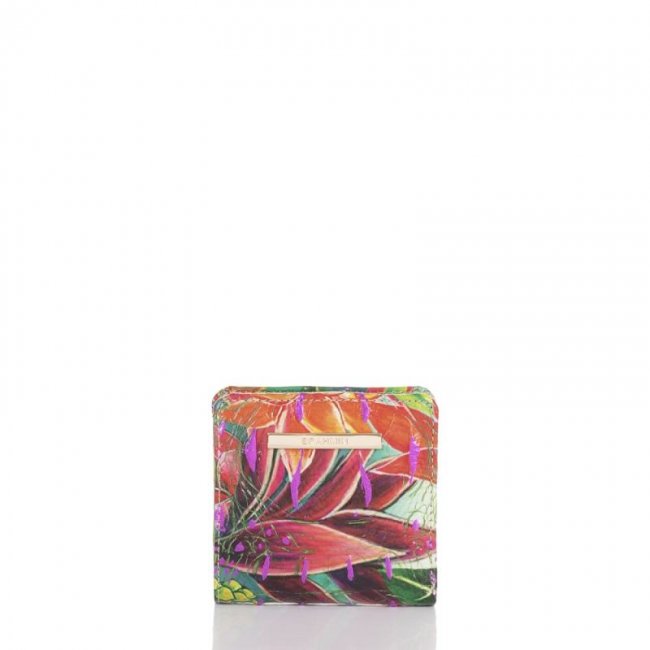 Brahmin | Women's Jane Utopia Melbourne | Quick Ship!