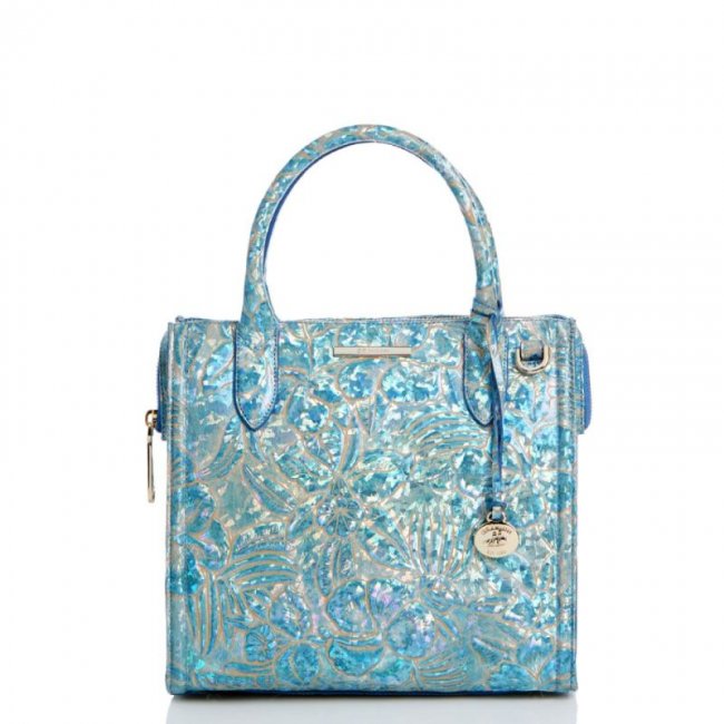 Brahmin | Women's Small Caroline Serenity Sonic | Quick Ship!