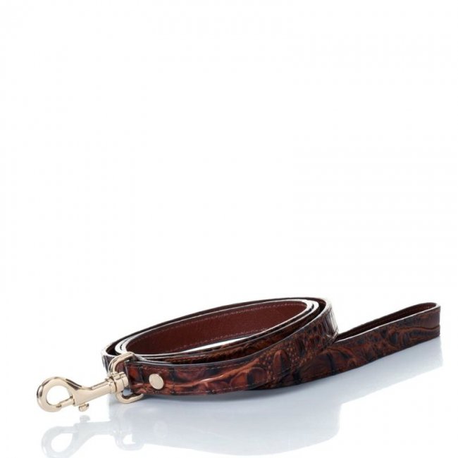 Brahmin | Women's Large Pet Leash Pecan Melbourne | Quick Ship!