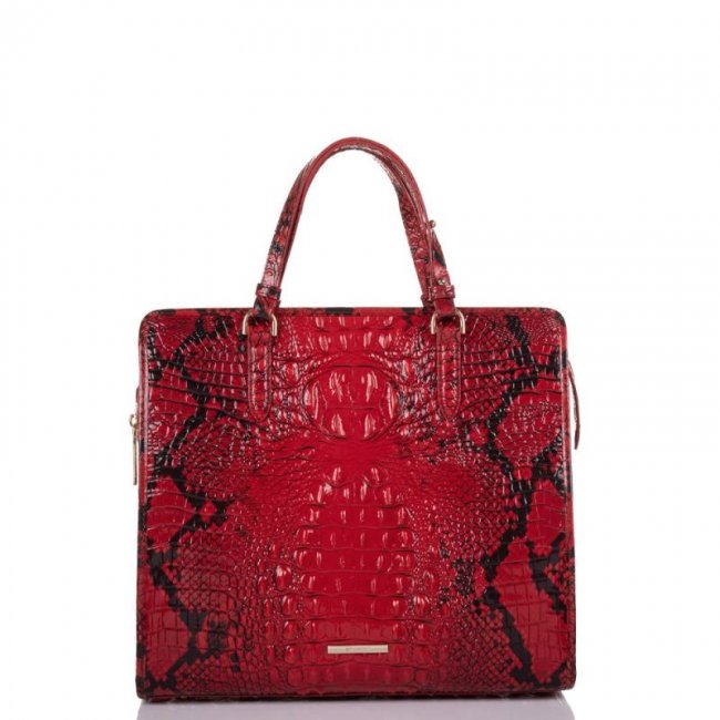 Brahmin | Women's Tia Lipstick Ombre Melbourne | Quick Ship!
