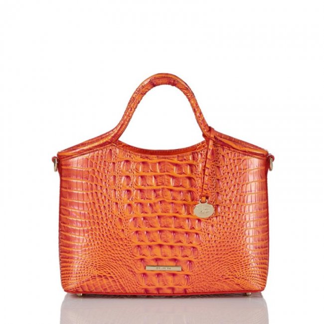 Brahmin | Women's Small Elaine Dusty Orange Melbourne | Quick Ship!