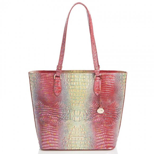Brahmin | Women's Ellen Dragonfruit Ombre Mini Melbourne | Quick Ship!