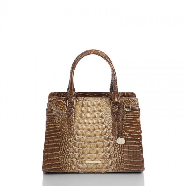 Brahmin | Women's Small Finley Teak Ombre Melbourne | Quick Ship!