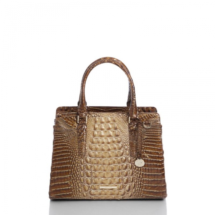 Brahmin | Women's Small Finley Teak Ombre Melbourne | Quick Ship!