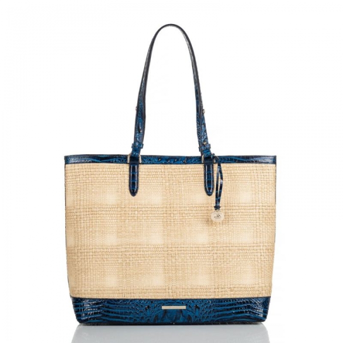 Brahmin | Women's Tansey Sapphire Beachrose | Quick Ship!
