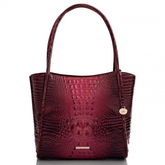 Brahmin | Women's Bailee Rose Ombre Melbourne | Quick Ship!