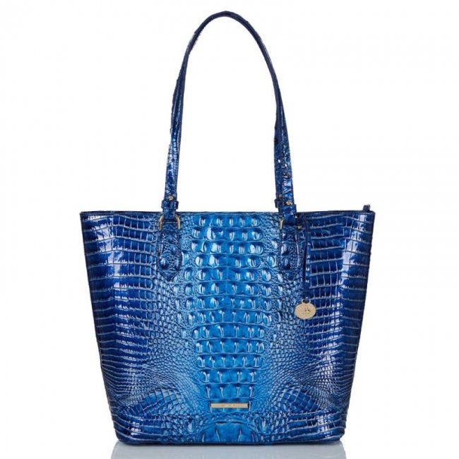 Brahmin | Women's Ellen Vista Blue Ombre Melbourne | Quick Ship!