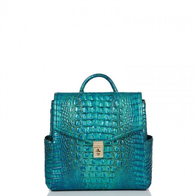 Brahmin | Women's Liz Peacock Melbourne | Quick Ship!