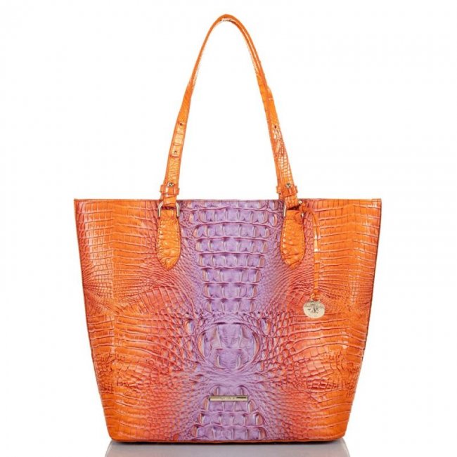 Brahmin | Women's Ellen Daiquiri Ombre Melbourne | Quick Ship!