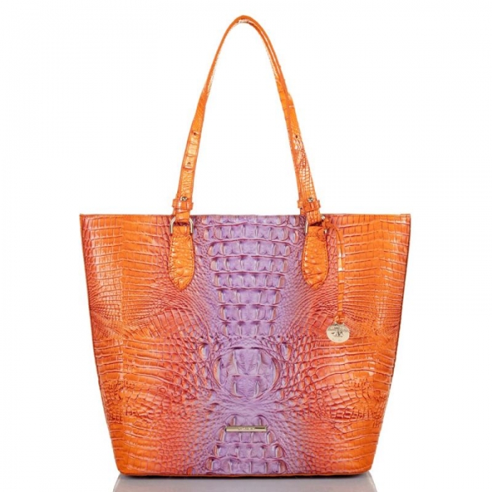Brahmin | Women's Ellen Daiquiri Ombre Melbourne | Quick Ship!