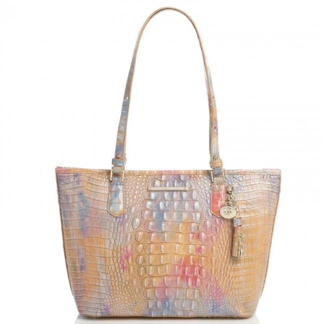 Brahmin | Women's Medium Asher Courage Melbourne | Quick Ship!