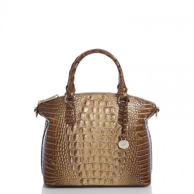 Brahmin | Women's Duxbury Satchel Teak Ombre Melbourne | Quick Ship!