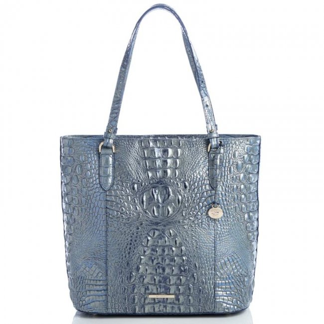Brahmin | Women's Abigail Serenity Ombre Melbourne | Quick Ship!