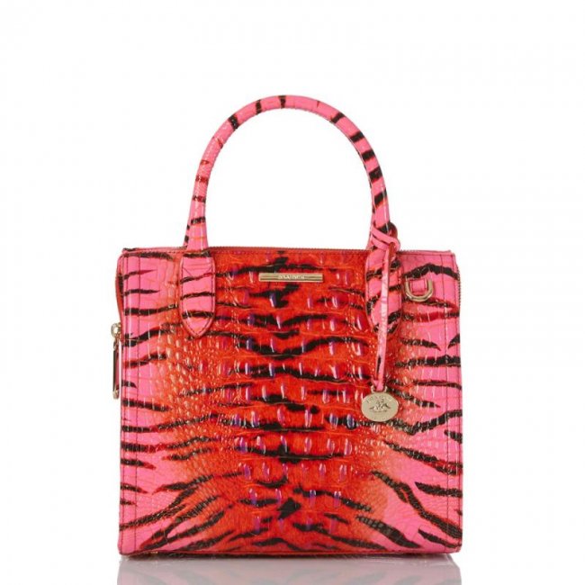 Brahmin | Women's Small Caroline Pink Feline Ombre Melbourne | Quick Ship!