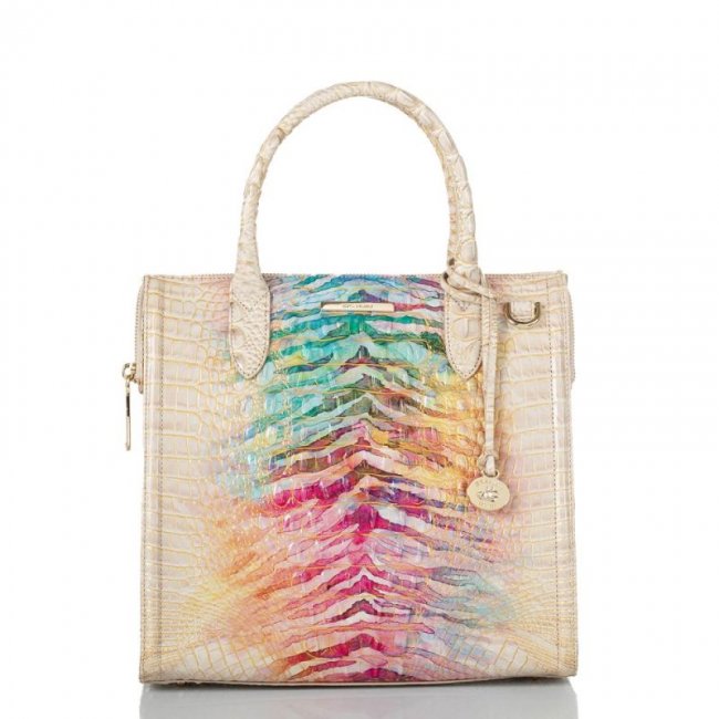 Brahmin | Women's Caroline Entice Ombre Melbourne | Quick Ship!