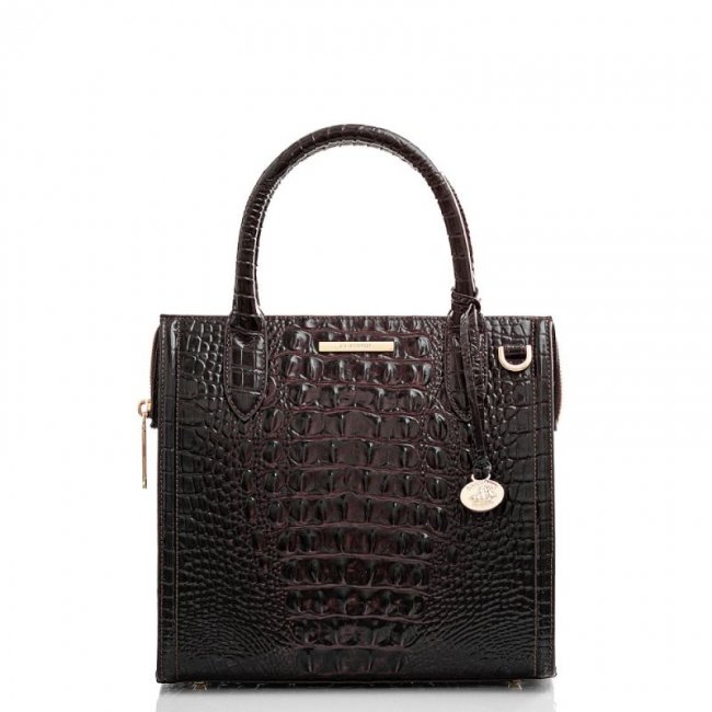 Brahmin | Women's Small Caroline Cocoa Ombre Melbourne | Quick Ship!