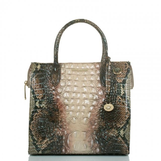 Brahmin | Women's Caroline Diamondback Ombre Melbourne | Quick Ship!
