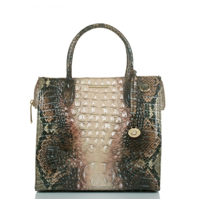 Brahmin | Women's Caroline Diamondback Ombre Melbourne | Quick Ship!