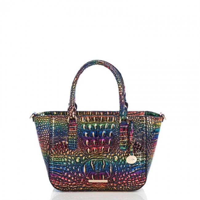 Brahmin | Women's Small Ashlee Technicolor Melbourne | Quick Ship!