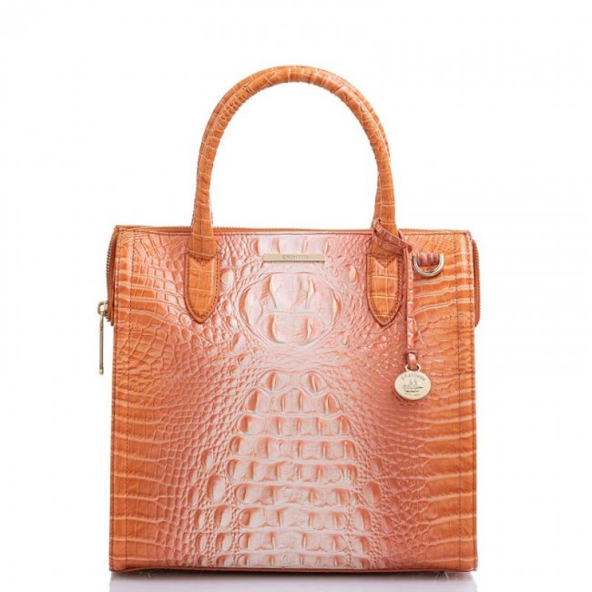 Brahmin | Women's Caroline Sherbert Ombre Melbourne | Quick Ship!