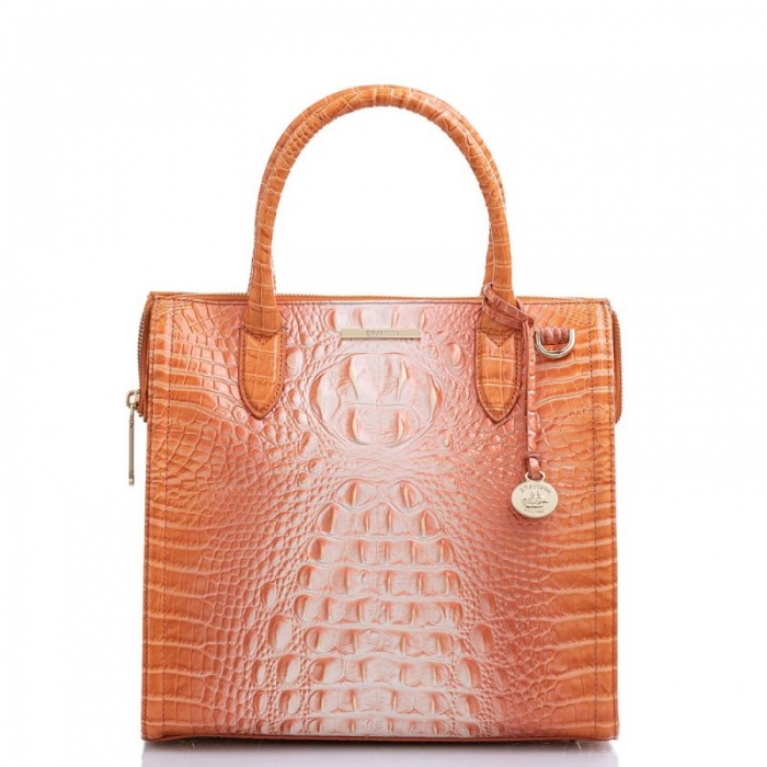 Brahmin | Women's Caroline Sherbert Ombre Melbourne | Quick Ship!