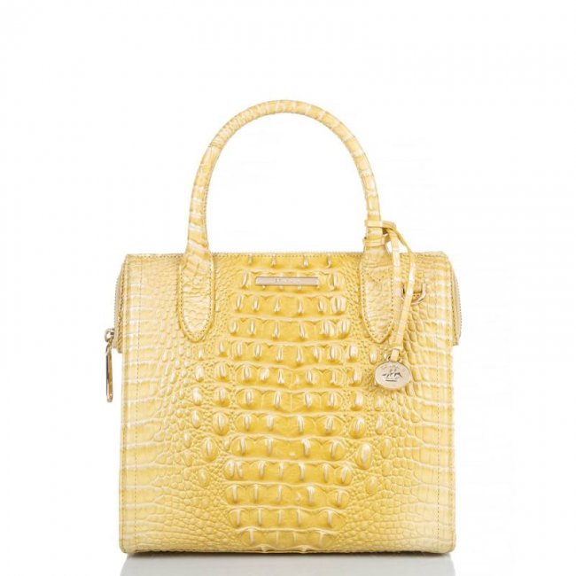 Brahmin | Women's Small Caroline Butter Melbourne | Quick Ship!