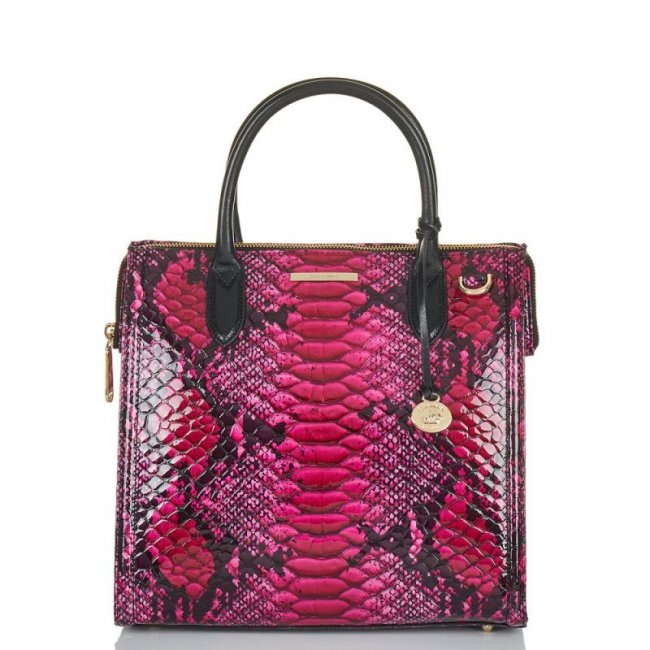 Brahmin | Women's Caroline Potion Ziggy | Quick Ship!