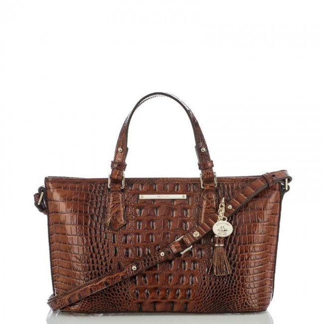 Brahmin | Women's Mini Asher Pecan Melbourne | Quick Ship!