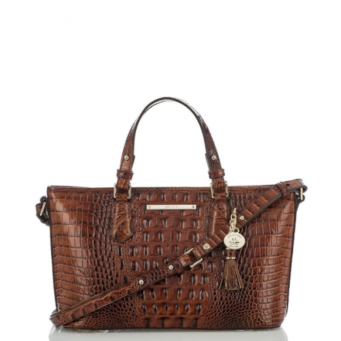 Brahmin | Women's Mini Asher Pecan Melbourne | Quick Ship!