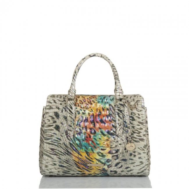 Brahmin | Women's Small Finley Obsession Ombre Melbourne | Quick Ship!