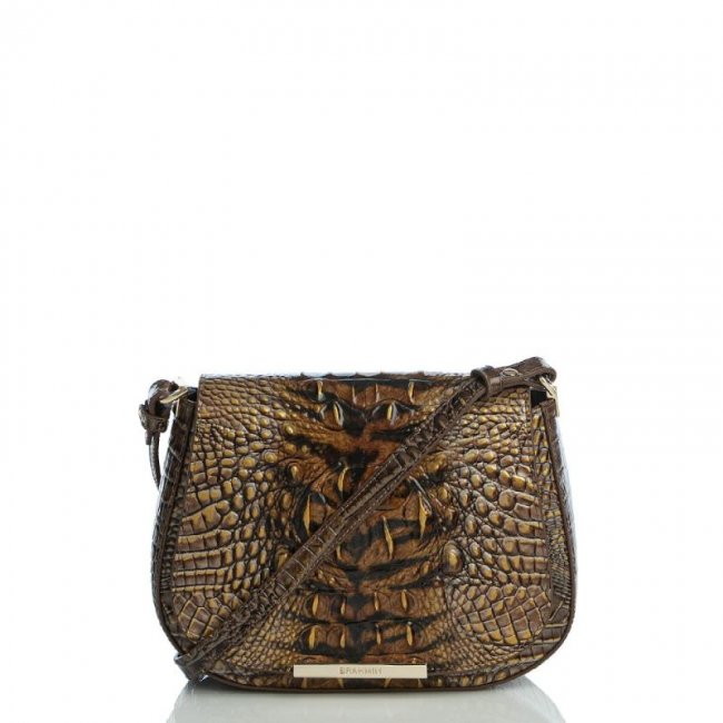 Brahmin | Women's Small Nadine Instinct Ombre Melbourne | Quick Ship!