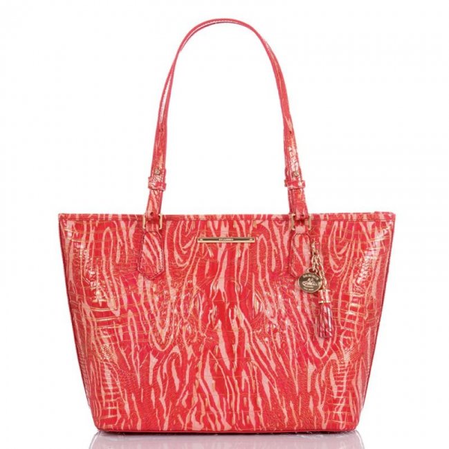 Brahmin | Women's Medium Asher Beloved Melbourne | Quick Ship!