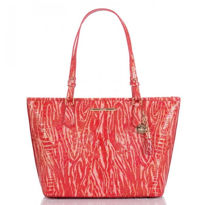 Brahmin | Women's Medium Asher Beloved Melbourne | Quick Ship!