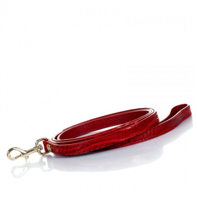 Brahmin | Women's Small Pet Leash Carnation Melbourne | Quick Ship!